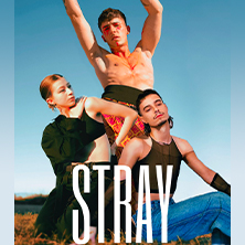 Stray