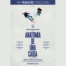 Anatom&iacute;a de una ca&iacute;da