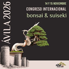 Congreso Internacional de Bons&aacute;i y Suiseki - &Aacute;vila 2026