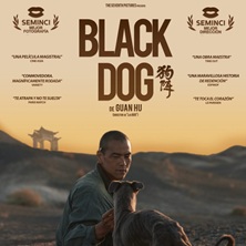 Black dog