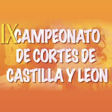 Campeonato de Cortes de Castilla y Le&oacute;n