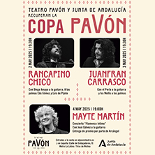 Copa Pav&oacute;n