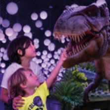 Dino + Astro Experience