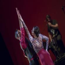 Entre copla y copla