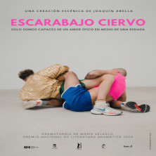 Escarabajo Ciervo