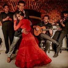 Essential Flamenco