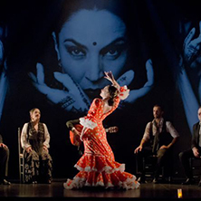 Clases de Flamenco