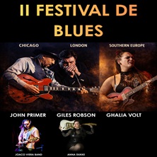 Festival de Blues