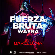 Fuerza Bruta