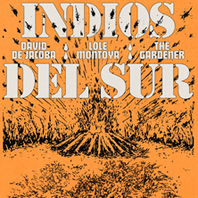 Indios del Sur