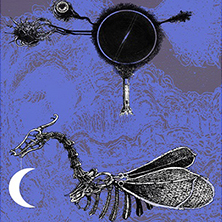 Il mondo della Luna
