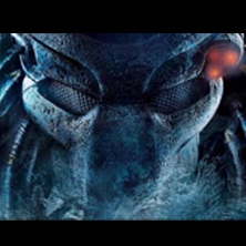 The Predator