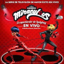 Miraculous, el espect&aacute;culo de Ladybug