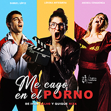 Me cago en el porno
