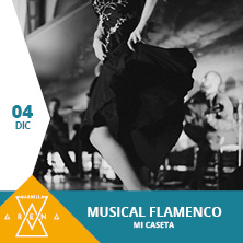 Musical Flamenco Mi caseta