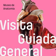 Museo de Anatom&iacute;a Javier Puerta - Visita Guiada
