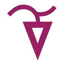Nuevecuatrovino