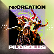 Pilobolus