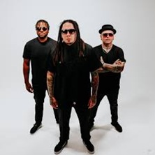 P.O.D.