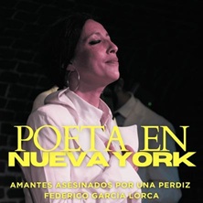 Teatro Flamenco MT
