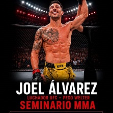 Seminario MMA