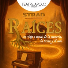 Strad & C&iacute;a