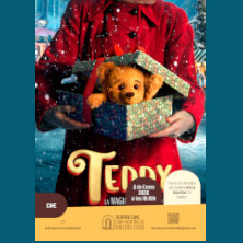 Teddy