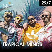 Trapical Minds