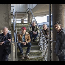 Teenage Fanclub