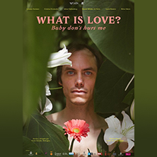 What is love? Baby don't hurt me