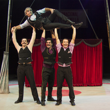 Cabaret Elegance