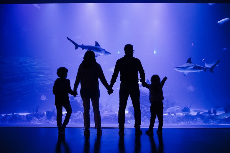 Atlantis Aquarium