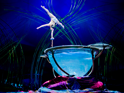 Amaluna