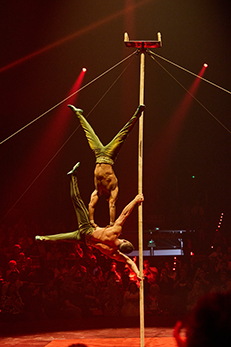 Circlassica
