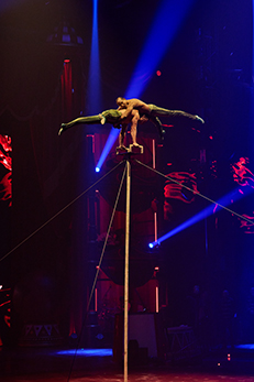 Circlassica