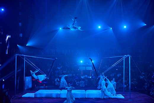 Circlassica