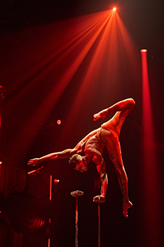 Circlassica