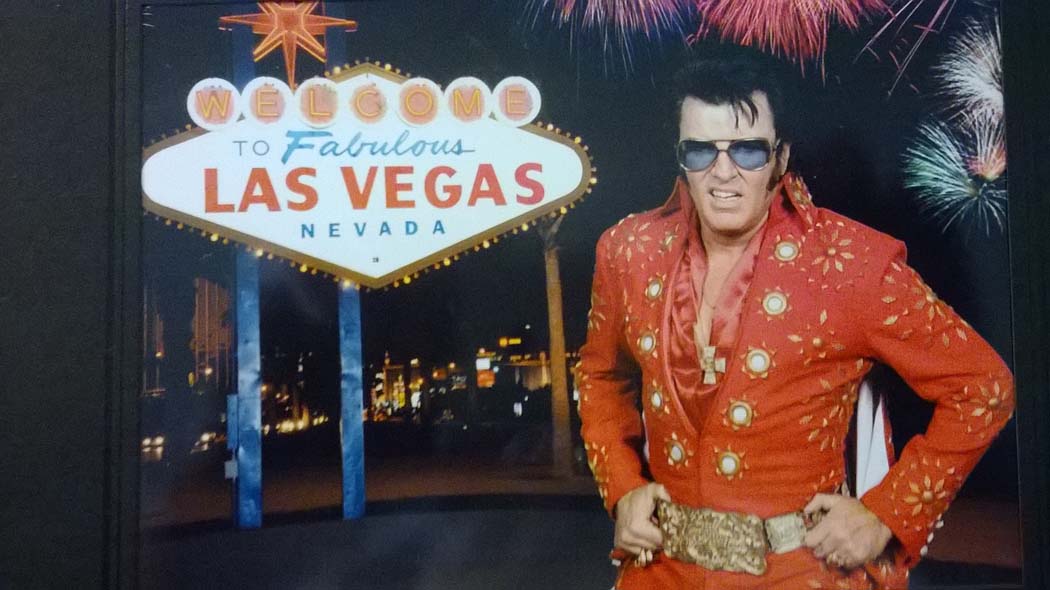 Elvis Vive