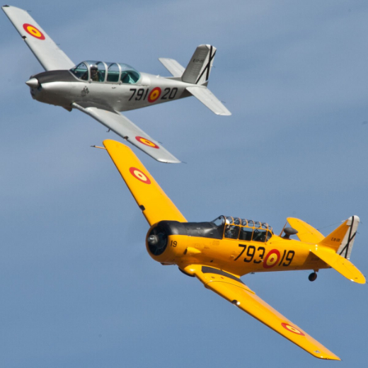 Exhibici&oacute;n en vuelo