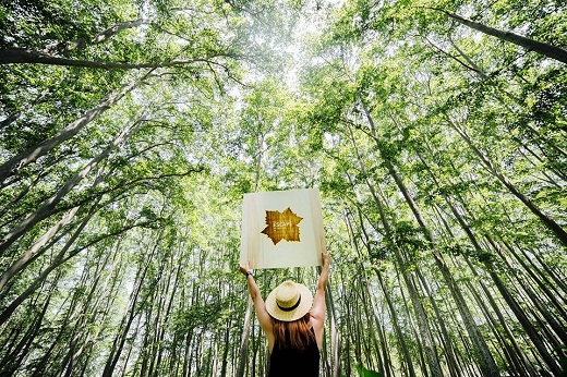 Escape in the Park