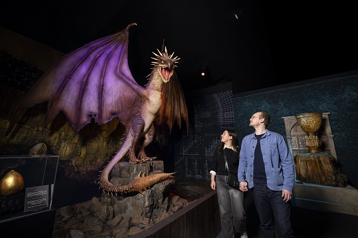 Harry Potter&trade;: The Exhibition