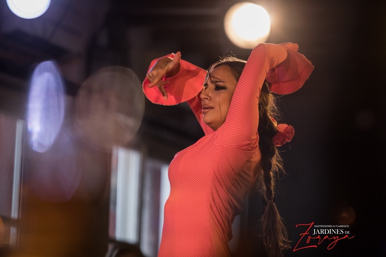 Espect&aacute;culo Flamenco en Jardines de Zoraya