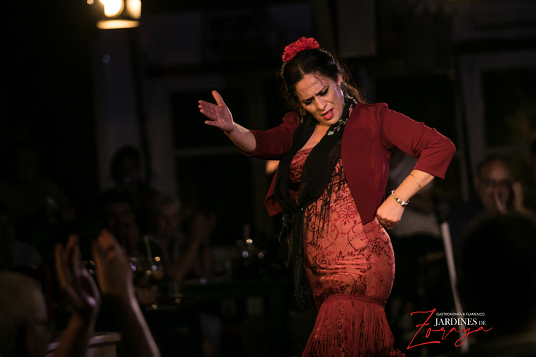 Espect&aacute;culo Flamenco en Jardines de Zoraya