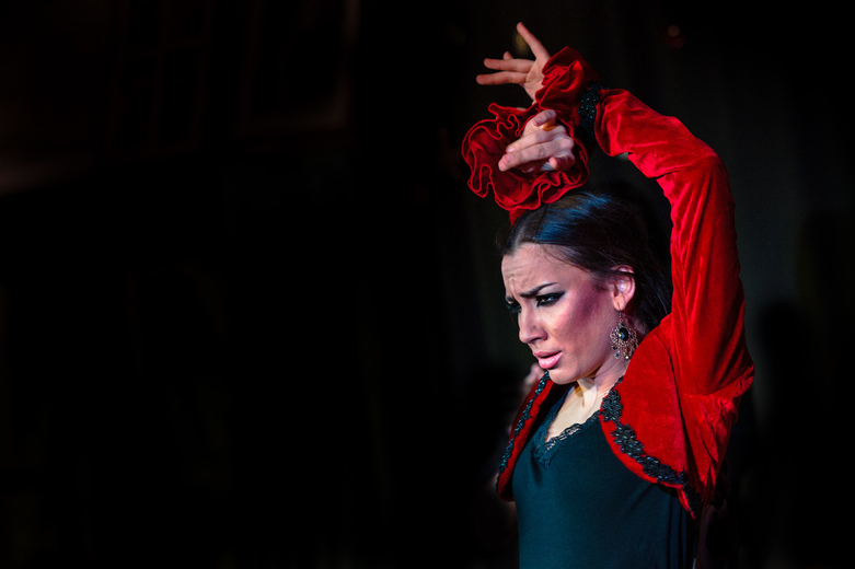 Espect&aacute;culo Flamenco en Jardines de Zoraya