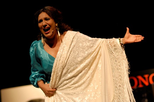 Noches flamencas