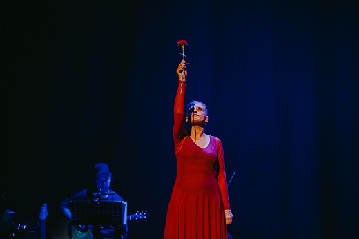 Silencios cantados