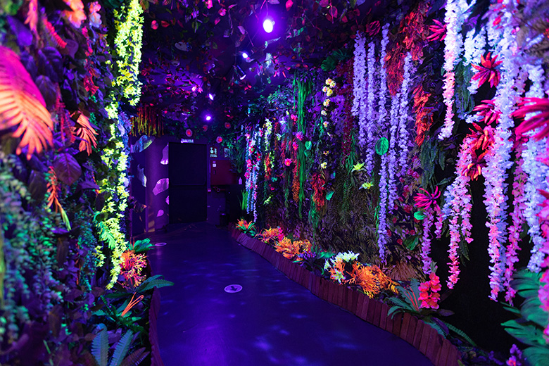 Sweet Space