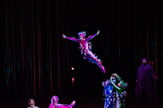 Varekai