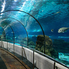 L'Aquarium de Barcelona