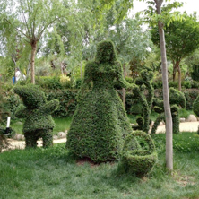 El Bosque Encantado
